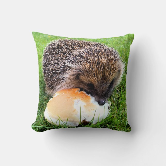 CUTE HEDGEHOG CUSHION (Front)
