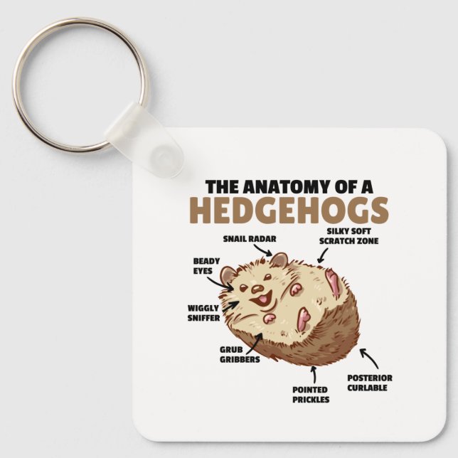 Cute Hedgehog Explanation Anatomy Of A Hedgehogs Key Ring (Front)