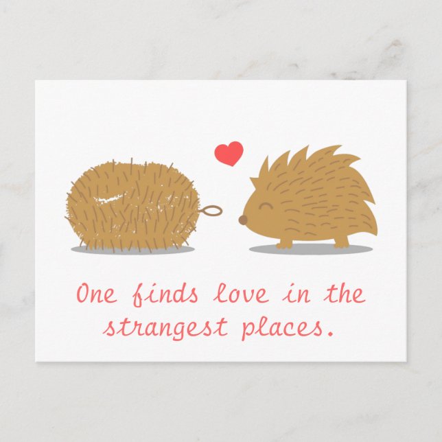 Cute Hedgehog finds its true love in a scrub brush Postcard (Front)