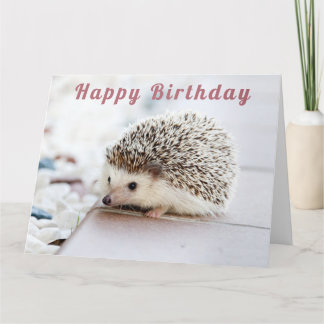 Cute Hedgehog - Happy Birthday Card