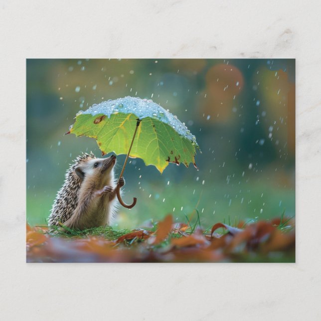 Cute hedgehog holding a leaf umbrella postcard (Front)