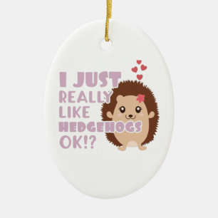 Cute Hedgehog I Just Really Like Hedgehogs OK? Ceramic Tree Decoration
