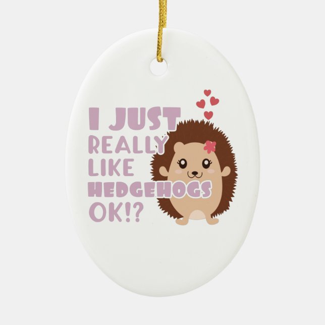 Cute Hedgehog I Just Really Like Hedgehogs OK? Ceramic Tree Decoration (Front)