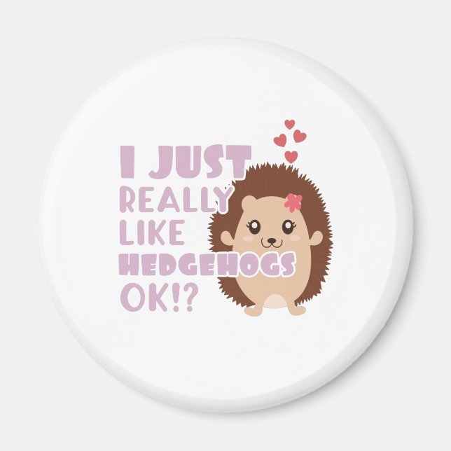 Cute Hedgehog I Just Really Like Hedgehogs OK? Magnet (Front)