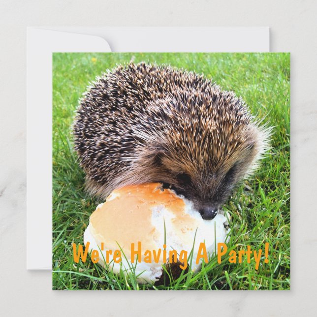 CUTE HEDGEHOG INVITATION (Front)