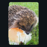 CUTE HEDGEHOG iPad PRO COVER<br><div class="desc">A cute little hedgehog enjoying a rather large meal!</div>