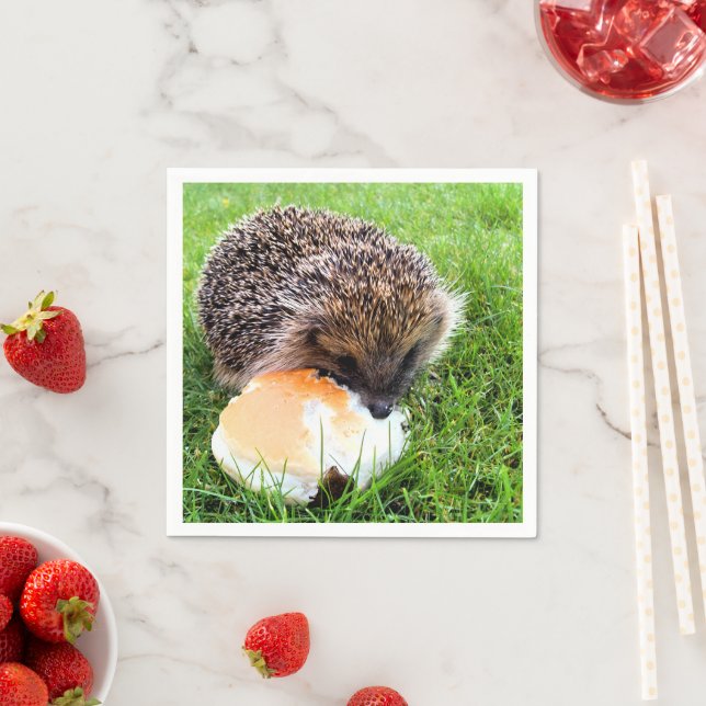 CUTE HEDGEHOG NAPKIN (Insitu)