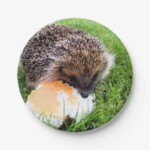 CUTE HEDGEHOG PAPER PLATE