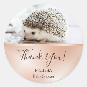 Cute Hedgehog Photo Thank You  Classic Round Sticker