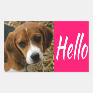 Cute Hello / Hi Beagle Puppy Dog Greeting Stickers