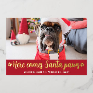 Cute Here Comes Santa Paws Dog Photo