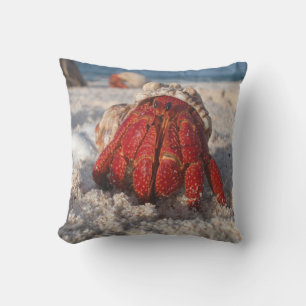 Cute Hermit Crab on White Sandy Beach Closeup Cushion