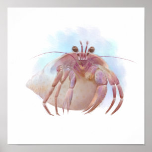 Cute hermit crab sketch poster