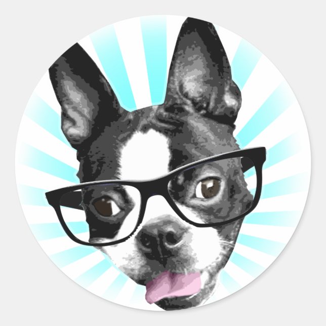 Cute! Hipster Boston Terrier Classic Round Sticker (Front)