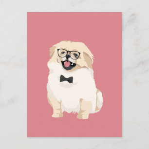 Cute Hipster Pekingese Puppy for Dog Lovers Postcard