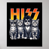 Cute Hiss Cats Rock Kittens Kitty Rocking Music Ca