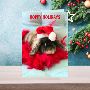 Cute Holland Lop Bunny Christmas Card