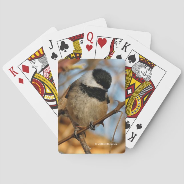 Cute Hopeful Black-Capped Chickadee Songbird Playing Cards (Back)