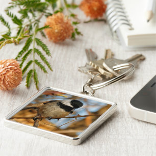 Cute Hopeful Hungry Black-Capped Chickadee Key Ring