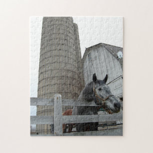Cute Horse and Silo Jigsaw Puzzle