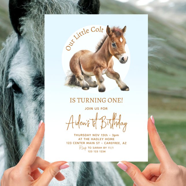 Cute Horse Boys 1st Birthday Invitation (Creator Uploaded)