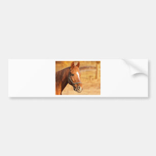 CUTE HORSE BUMPER STICKER
