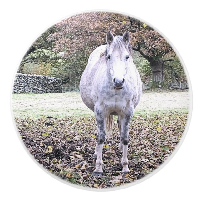 CUTE HORSE   CERAMIC KNOB (Front)