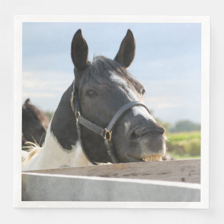 Cute Horse chewing on a Fence Napkin