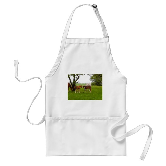 CUTE HORSE FOALS STANDARD APRON (Front)