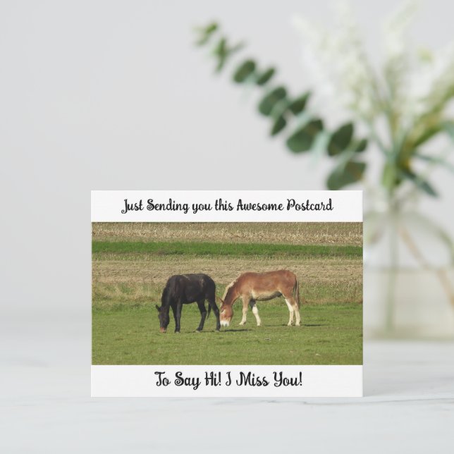 Cute Horse "I Miss YOU" Saying Hi Post Card (Standing Front)