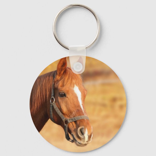 CUTE HORSE KEY RING (Front)