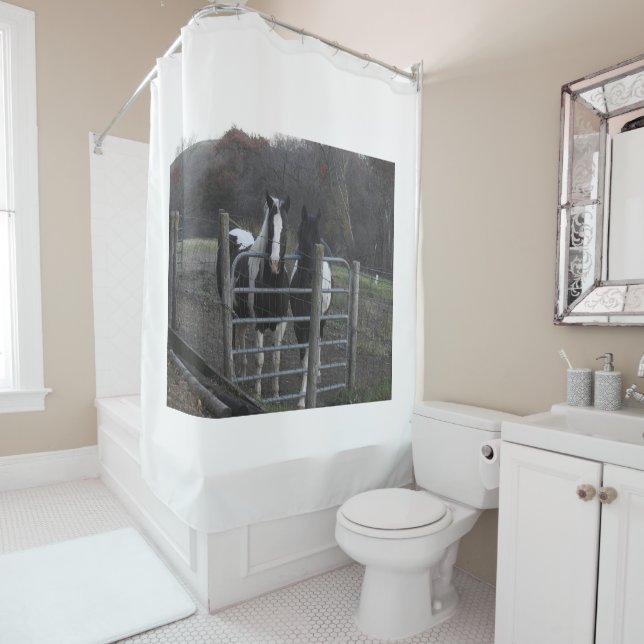 Cute Horse Photo, Leave this picture or Change Shower Curtain (In Situ)