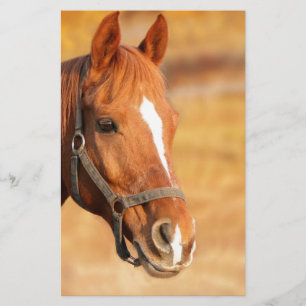 CUTE HORSE STATIONERY