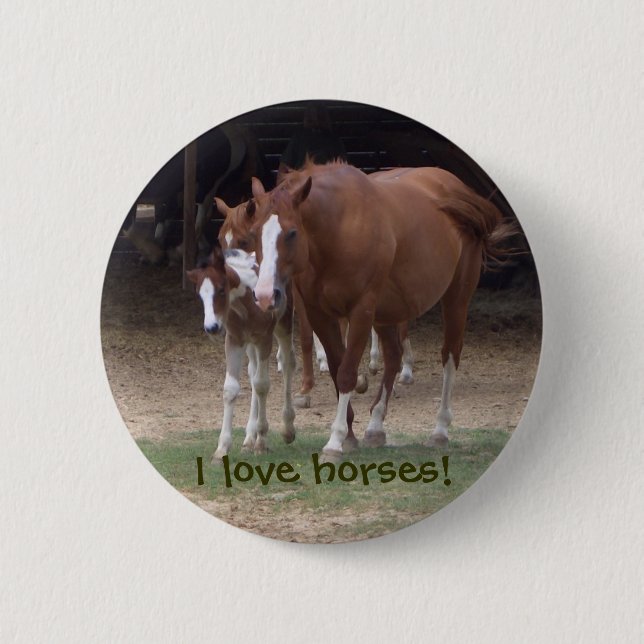 Cute Horses Button (Front)