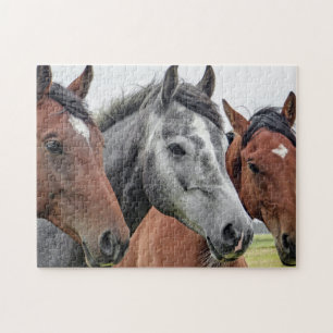 Cute Horses Jigsaw Puzzle
