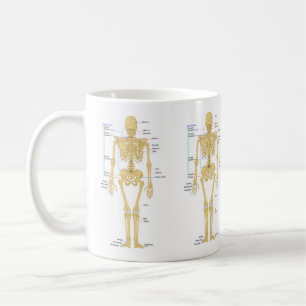 Cute Human Skeleton with Labels Coffee Mug
