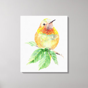 Cute Hummingbird Watercolor Painting Wildlife Art Canvas Print