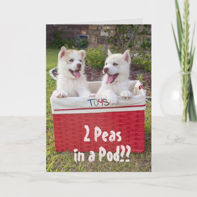 Cute Husky Puppies in Toys Basket Friendship Card (Front)