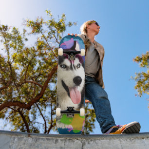 Cute Husky. Skateboard