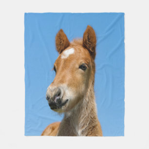 Cute Icelandic Horse Foal Pony Head Front Photo _. Fleece Blanket