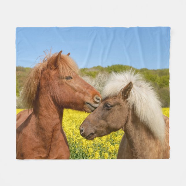 Cute Icelandic Horses Cuddle in a Spring Meadow - Fleece Blanket (Front (Horizontal))