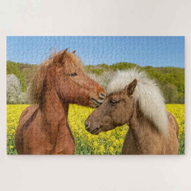 Cute Icelandic Horses Cuddle in a Spring Meadow _ Jigsaw Puzzle (Horizontal)