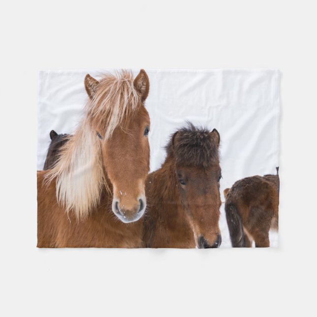 Cute Icelandic Horses Together Fleece Blanket (Front (Horizontal))