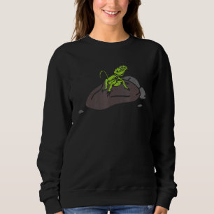 Cute Iguana Lizard Pet Reptile Sweatshirt
