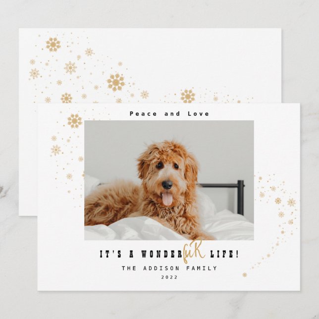 Cute It's A WonderFUR Life Pet Photo Christmas  Holiday Card (Front/Back)