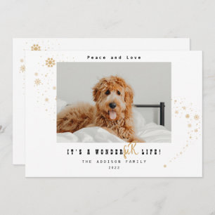 Cute It's A WonderFUR Life Pet Photo Christmas Holiday Card
