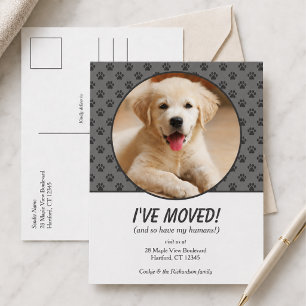 Cute I've Moved Custom Dog Photo Postcard