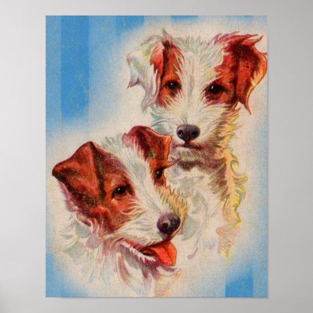 CUTE Jack Russell terriers Poster (Front)