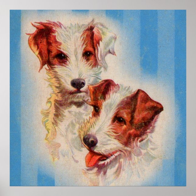 CUTE Jack Russell terriers poster (Front)