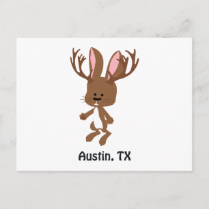 Cute Jackalope - Austin, Texas Postcard